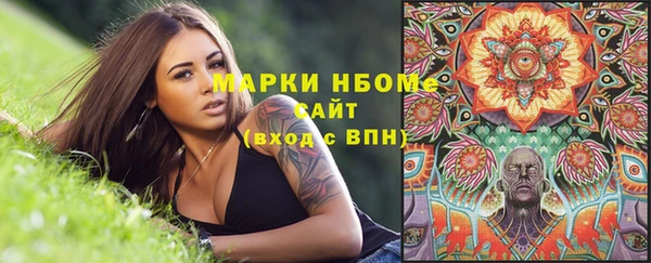 СК Новозыбков