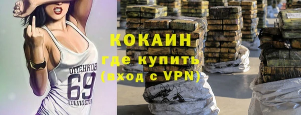 гашик Новодвинск