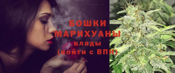 СК Новозыбков