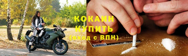 СК Новозыбков