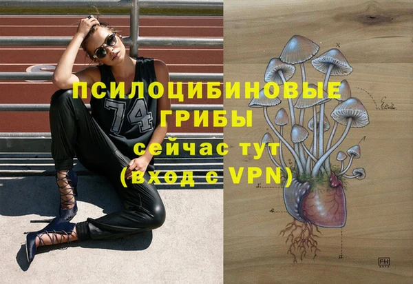 дживик Белоозёрский
